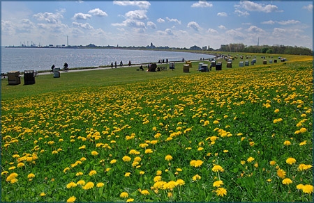 Grimmershörnbucht Cuxhaven 